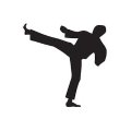 martialarts